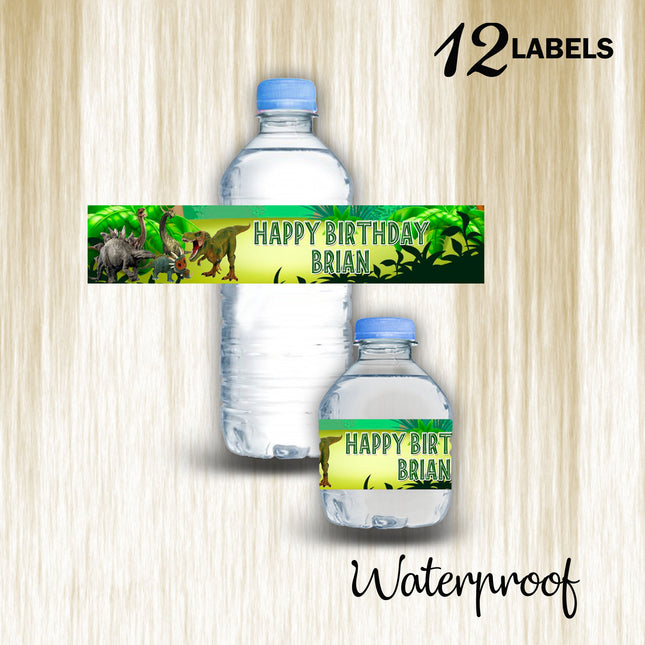 Dinosaurs Bottle Water Labels Waterproof Stickers for Kids Birthday Party Favor | 12-Pack Ideal for 16.9oz & 8 fl oz Bottles