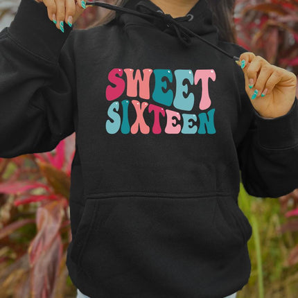 Adult Hoodie Sweatshirt Cozy Pullover Fleece Winter Outfit Gift for Her Sweet Sixteen