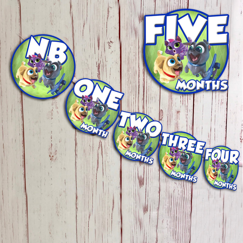 Puppy dog pals 12 months banner- photo banner - printed and shipped to you