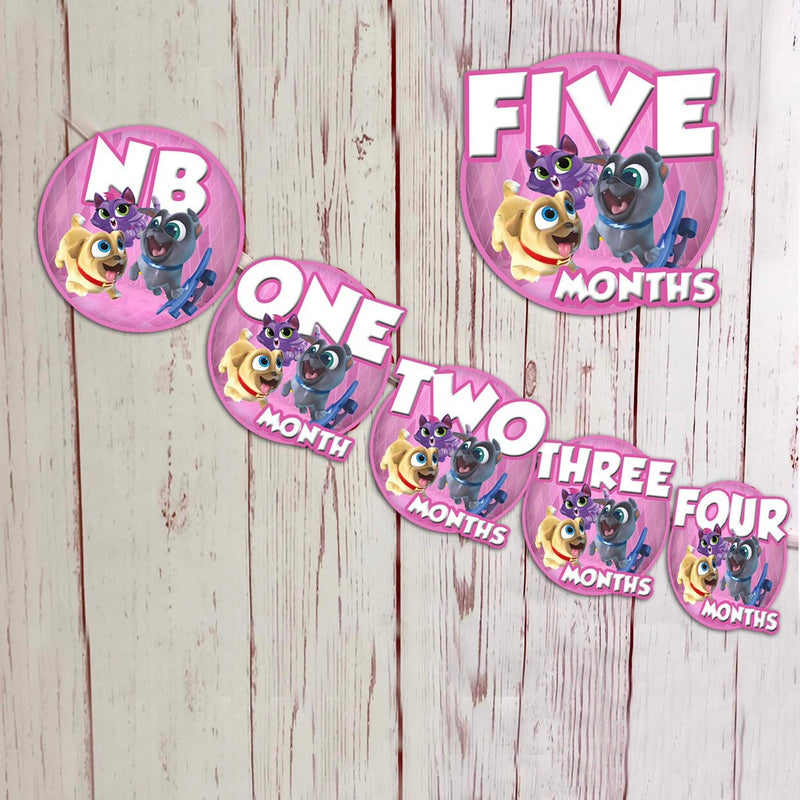 Puppy dog pals 12 months banner- pink - photo banner - printed and shipped to you