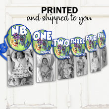 Load image into Gallery viewer, Puppy dog pals 12 months banner- photo banner - printed and shipped to you
