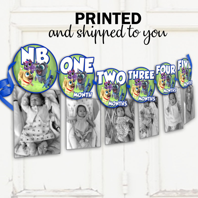 Puppy dog pals 12 months banner- photo banner - printed and shipped to you