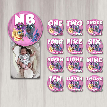 Puppy dog pals 12 months banner- pink - photo banner - printed and shipped to you
