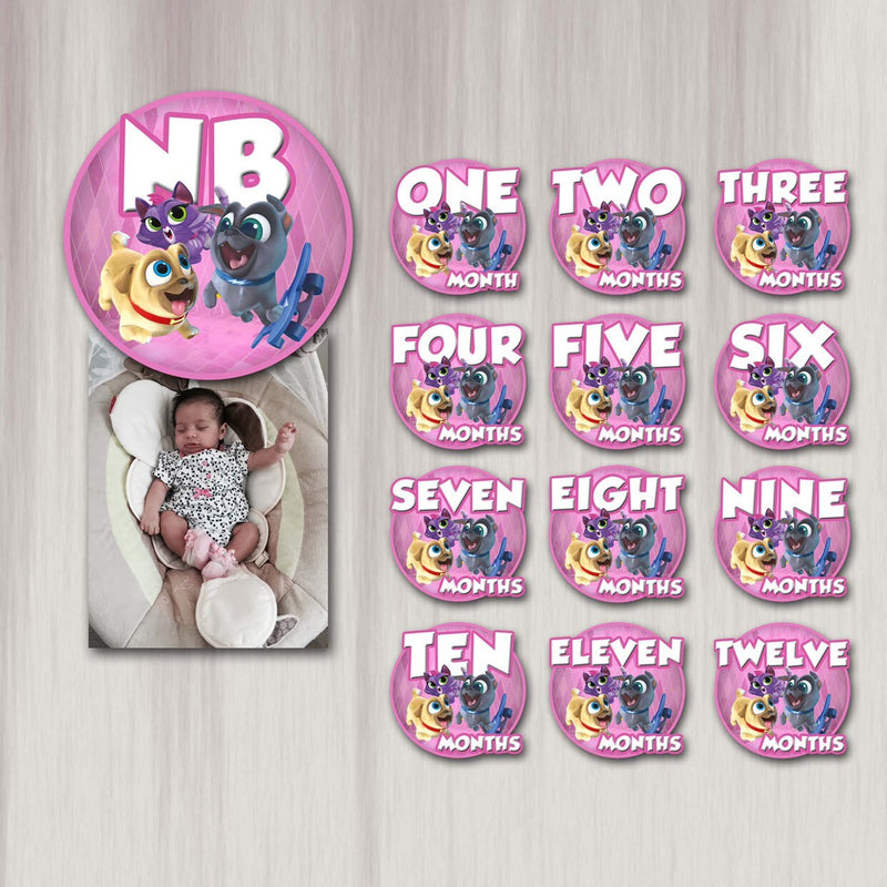 Puppy dog pals 12 months banner- pink - photo banner - printed and shipped to you